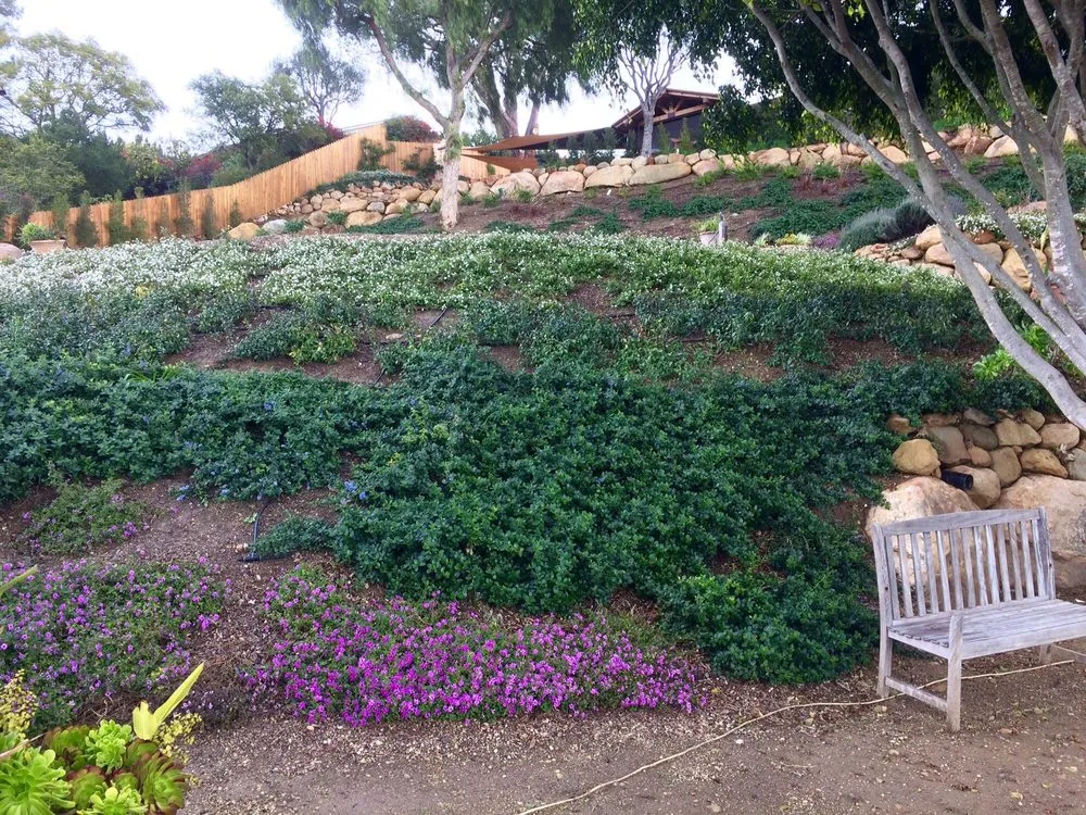 Custom residential landscaping in Santa Barbara, CA by Martin Bros Landscape Management