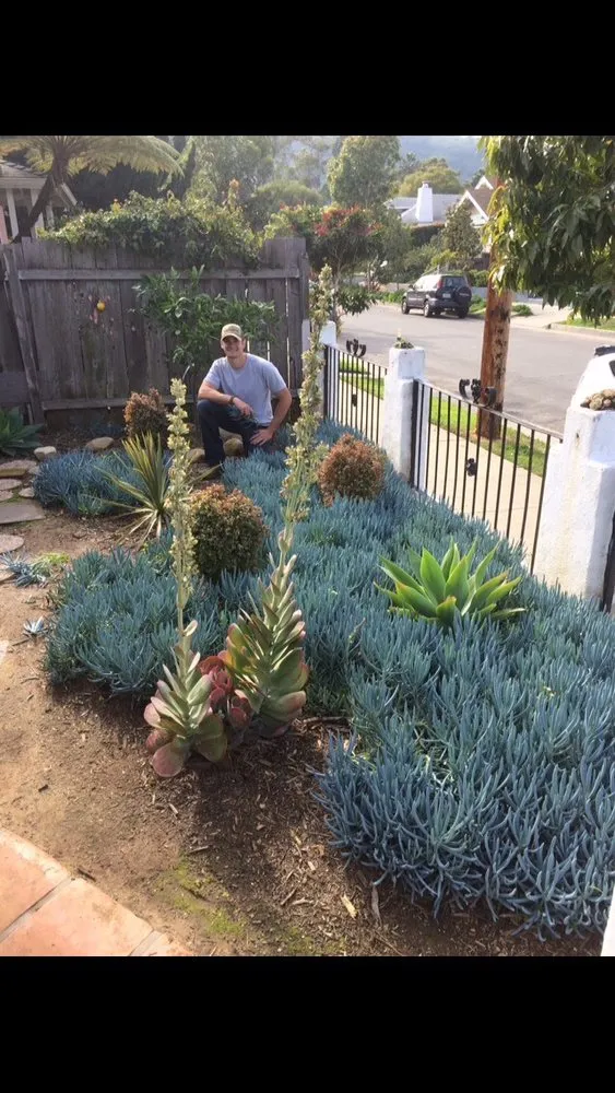 Local landscaping services for beautiful yards across Santa Barbara, CA - Martin Bros Landscape Management