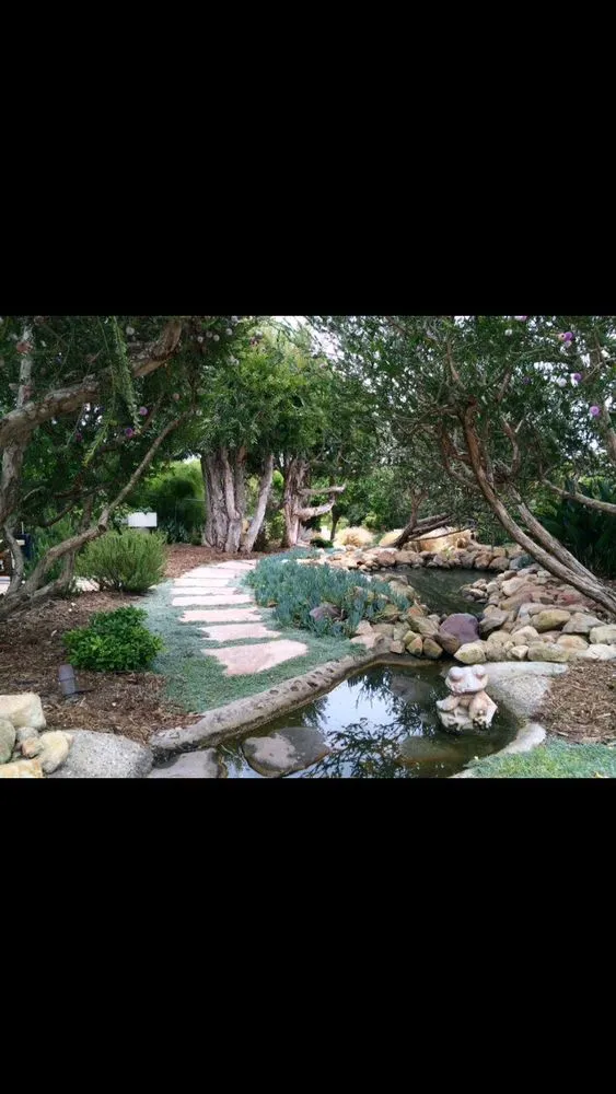 Expert yard cleanup service in Santa Barbara, CA - Martin Bros Landscape Management