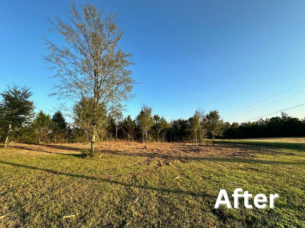 Professional outdoor landscaping experts serving Ansonville, NC - Martin Brothers Terrain Management