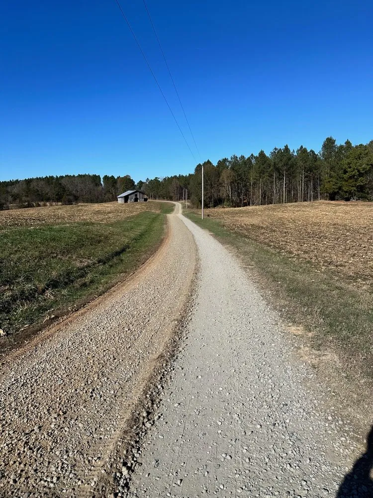 Professional yard maintenance in Ansonville, NC by Martin Brothers Terrain Management