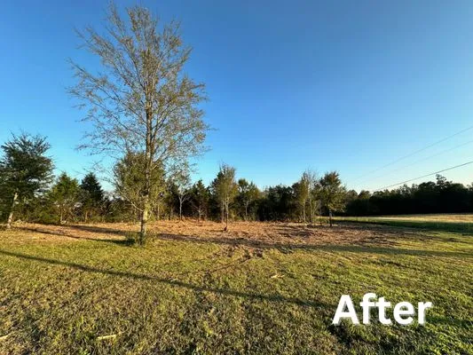 Martin Brothers Terrain Management