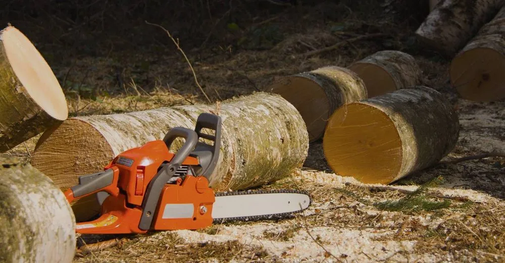 Affordable outdoor landscaping experts serving Norristown, PA - Martin Cruz Tree Service & Landscaping