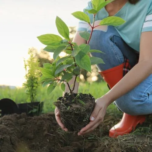 Custom yard maintenance for homes in Norristown, PA by Martin Cruz Tree Service & Landscaping