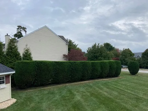 Custom landscape installation in Norristown, PA by Martin Cruz Tree Service & Landscaping