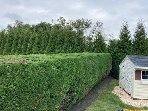 Top-rated garden landscaping experts serving Norristown, PA - Martin Cruz Tree Service & Landscaping