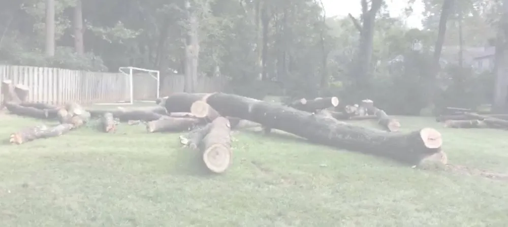 Trusted garden landscaping in Norristown, PA by Martin Cruz Tree Service & Landscaping