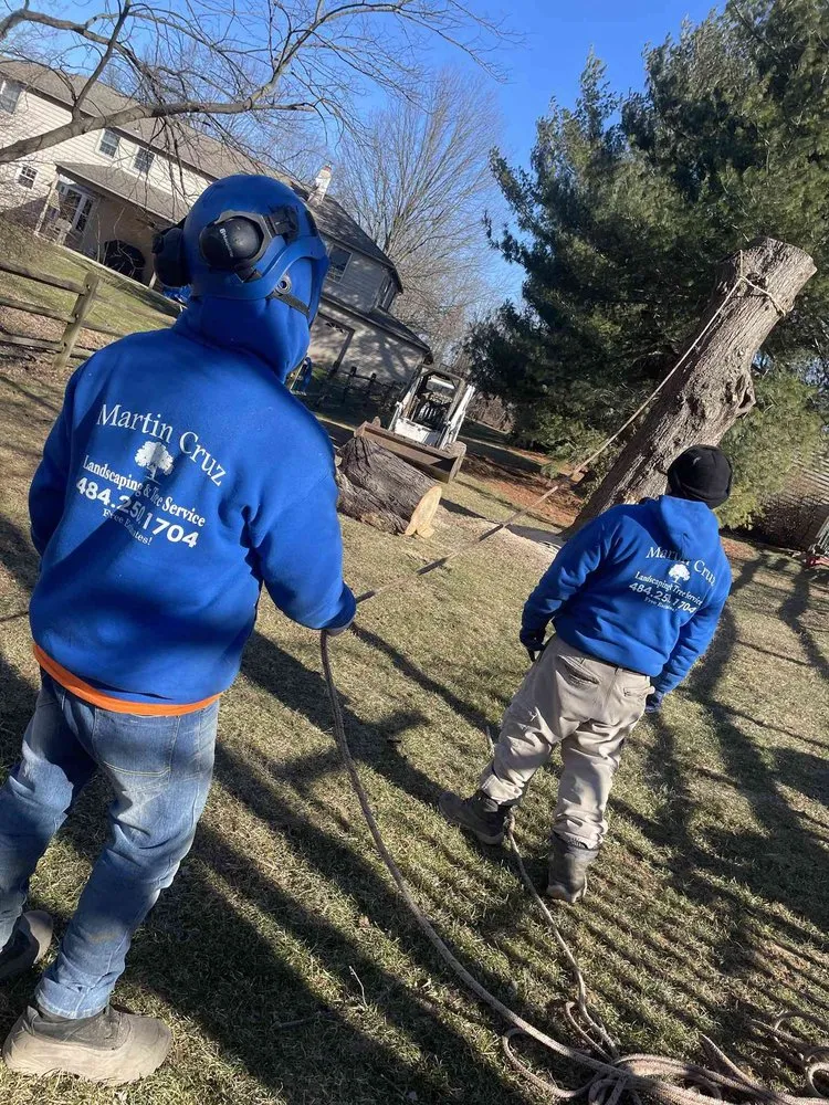 Top-rated garden landscaping in Norristown, PA - Martin Cruz Tree Service & Landscaping