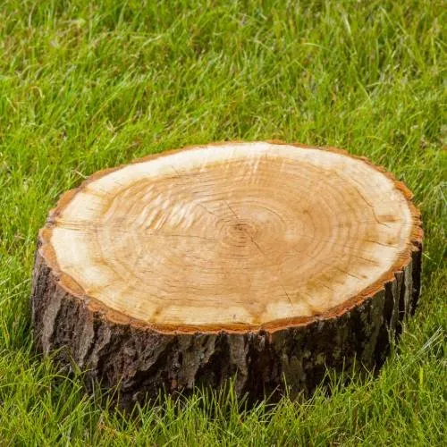 Top-rated landscape design with custom design across Norristown, PA - Martin Cruz Tree Service & Landscaping