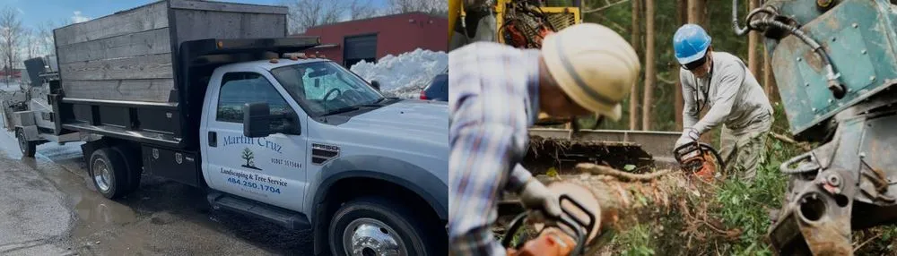 Top-rated yard cleanup service experts serving Norristown, PA - Martin Cruz Tree Service & Landscaping