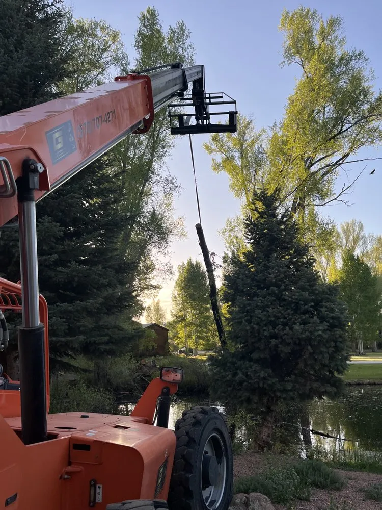 Affordable landscape design for year-round maintenance in Gunnison, CO by Martin Earthworks & Excavation