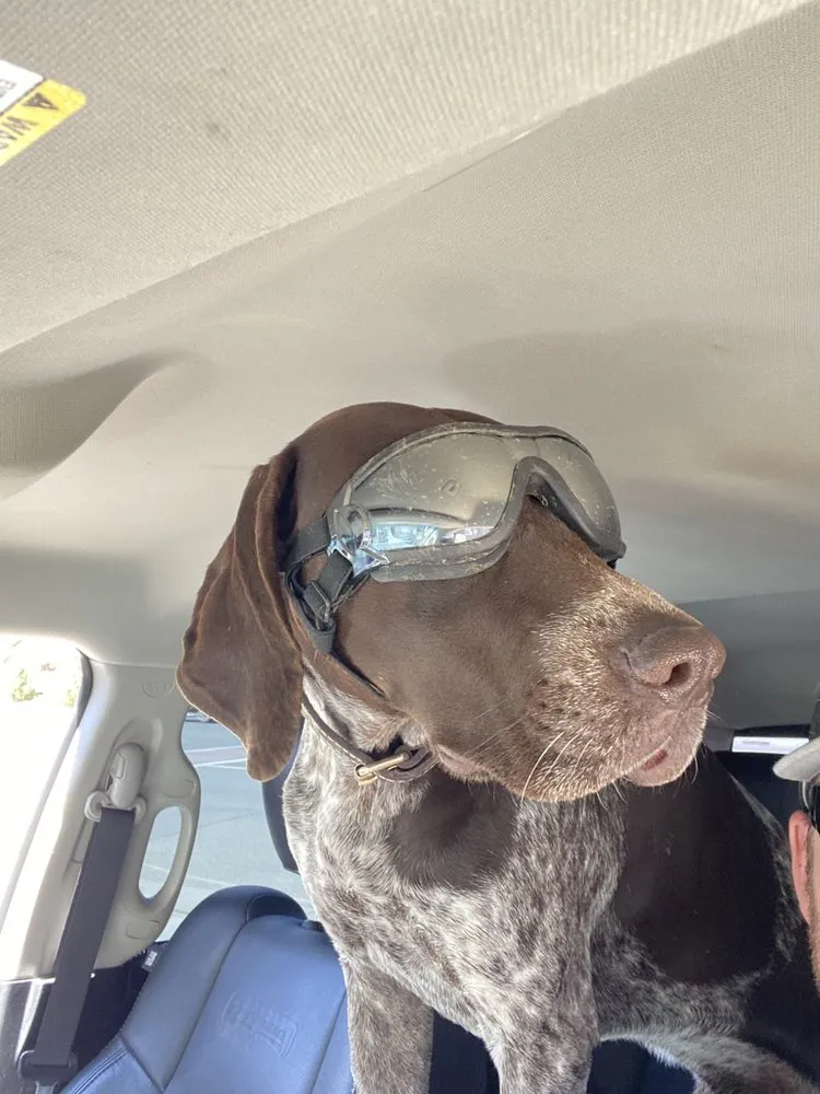 Professional garden landscaping for homes across Gunnison, CO - Martin Earthworks & Excavation