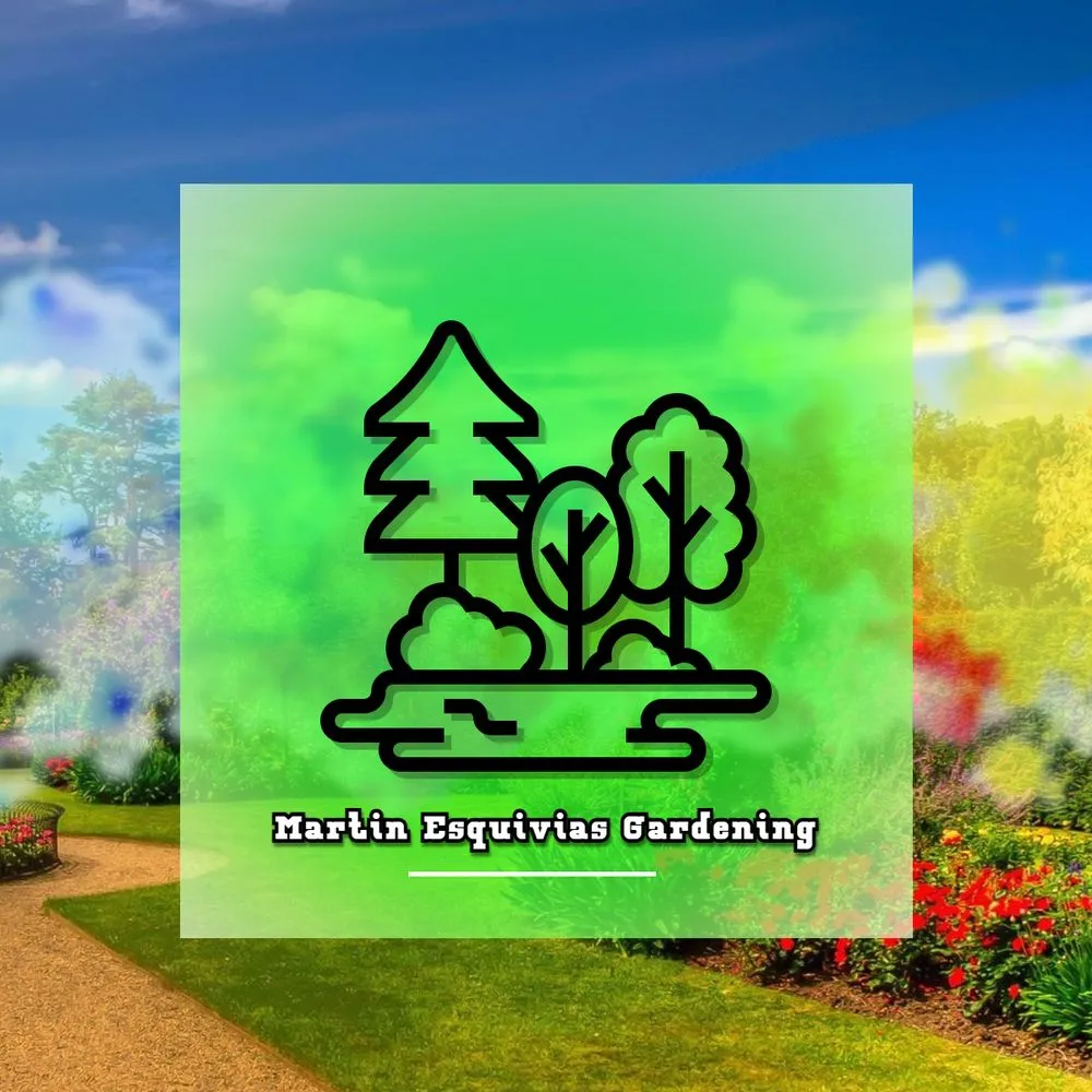 Top-rated landscape installation in Bakersfield, CA - Martin Esquivias's Gardening