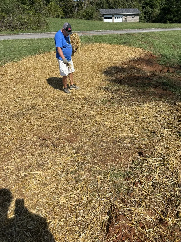 Top-rated landscape design in Clinton, TN by Martin Excavation