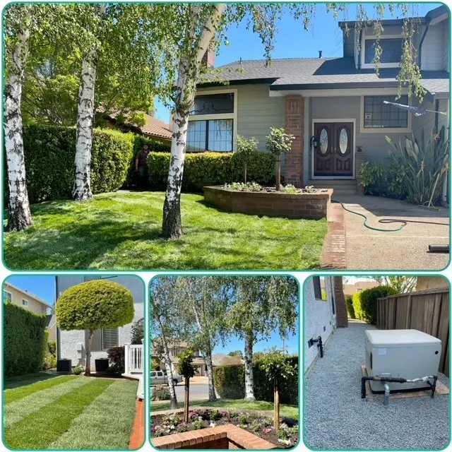 Professional landscape design for year-round maintenance across Campbell, CA - Martin Gonzalez Landscaping