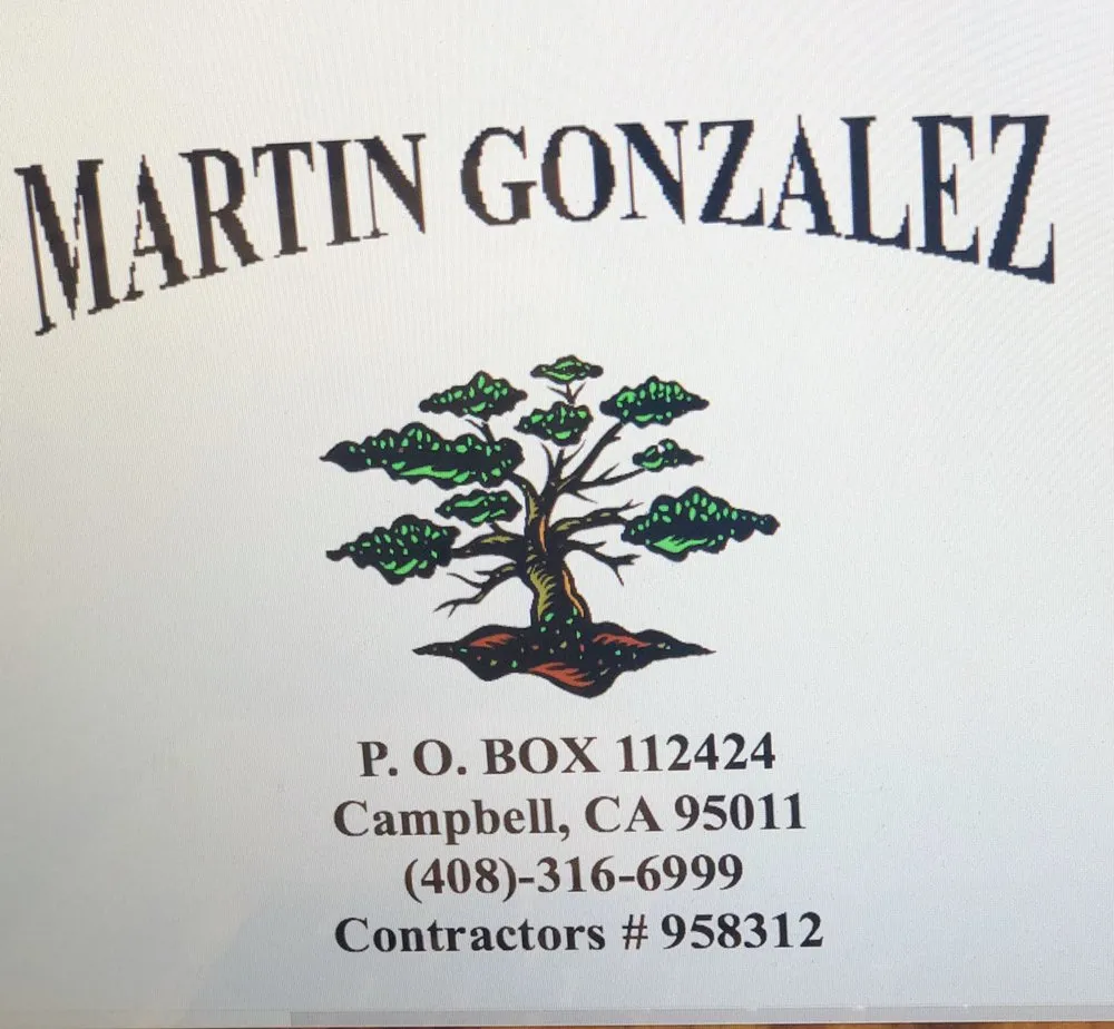 Professional outdoor landscaping near you in Campbell, CA by Martin Gonzalez Landscaping