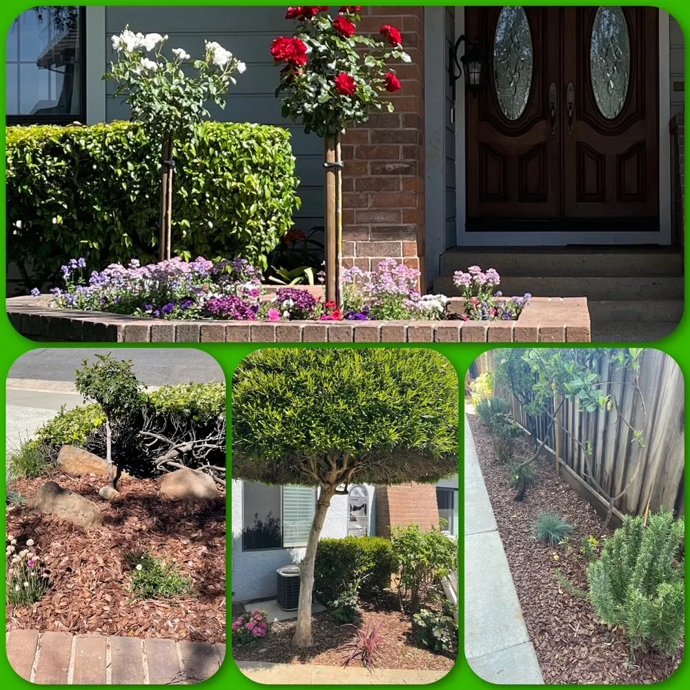 Reliable landscape design in Campbell, CA by Martin Gonzalez Landscaping