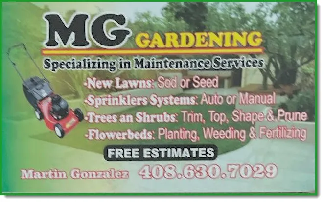 Top-rated lawn mowing service for residential properties in Campbell, CA by Martin Gonzalez Landscaping
