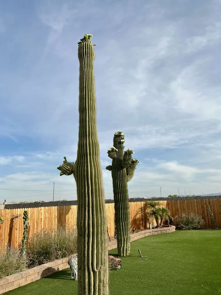 Professional landscaping services for beautiful yards in El Mirage, AZ by Martin Hardscape
