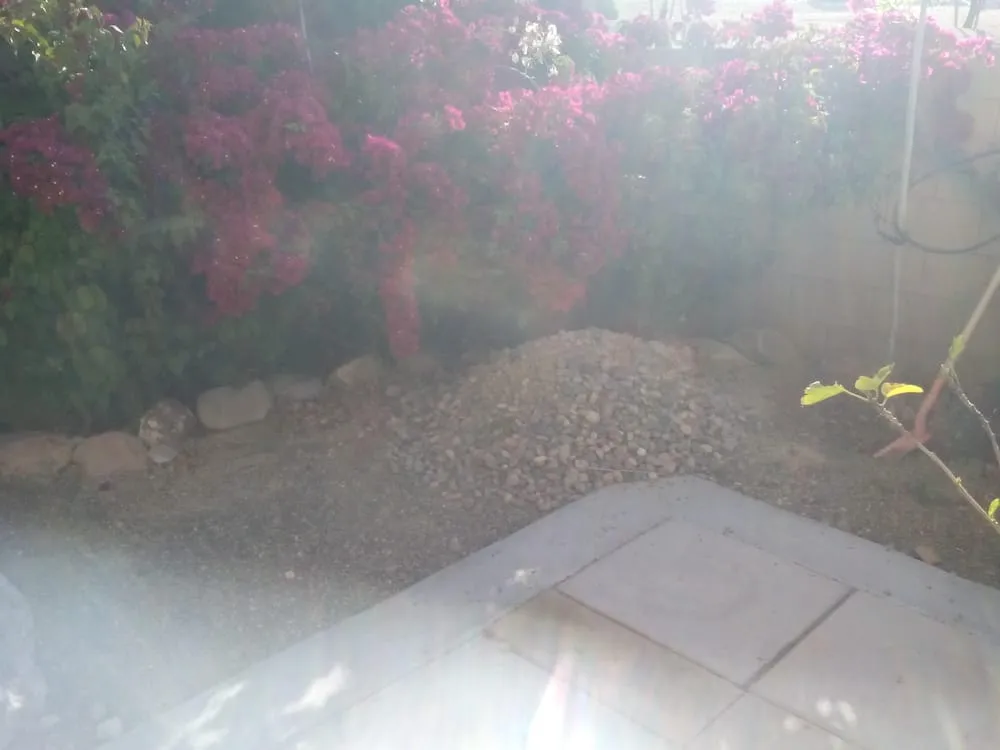 Affordable residential landscaping for beautiful yards in Tucson, AZ by Martin Home & Landscape Solutions