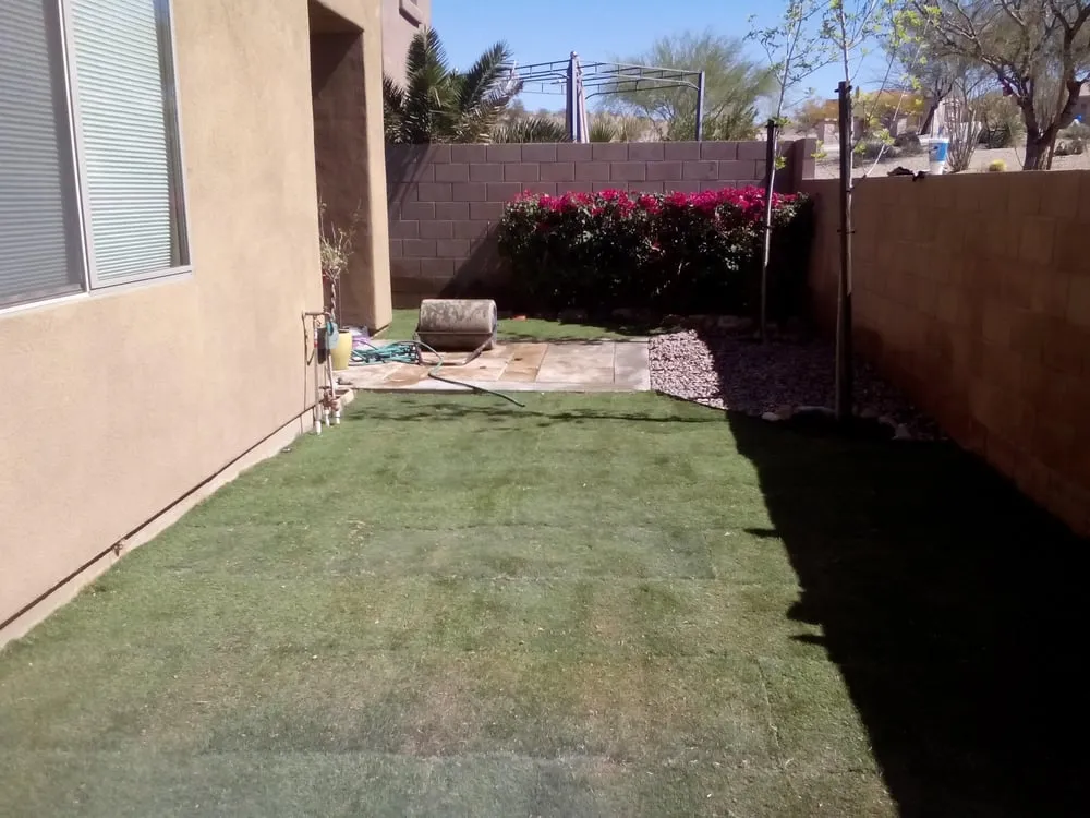 Professional lawn care service in Tucson, AZ - Martin Home & Landscape Solutions
