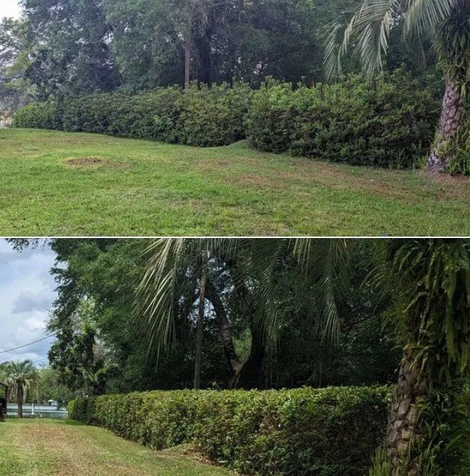 Trusted garden landscaping experts serving Pomona Park, FL - Martin Huyskens Lawn Services