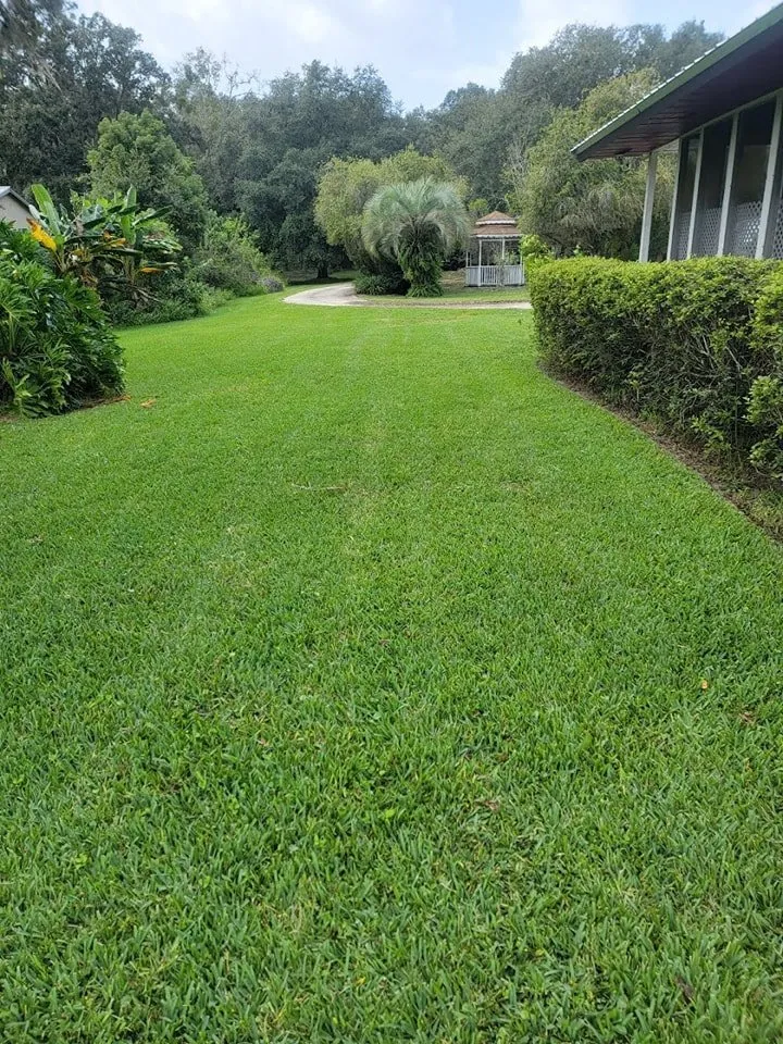 Expert outdoor landscaping experts serving Pomona Park, FL - Martin Huyskens Lawn Services
