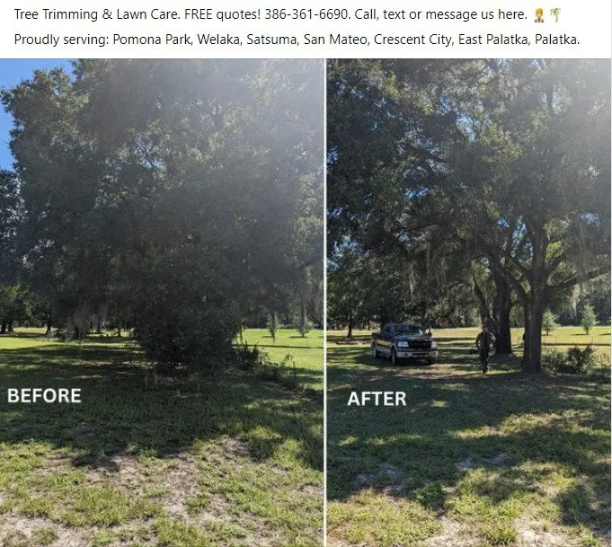 Reliable landscape installation for beautiful yards in Pomona Park, FL by Martin Huyskens Lawn Services