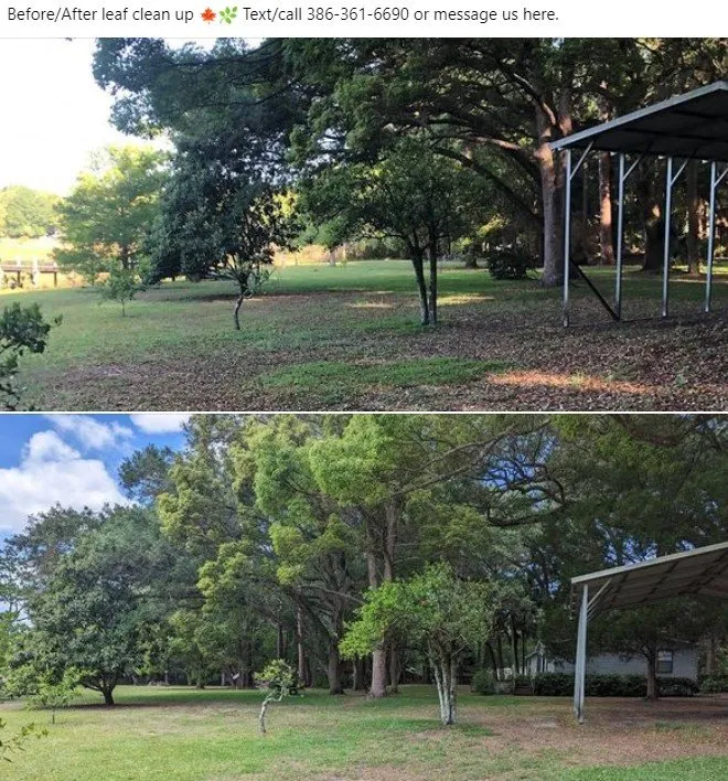 Reliable landscaping services experts serving Pomona Park, FL - Martin Huyskens Lawn Services