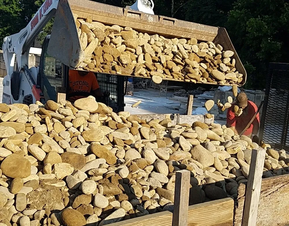 Expert yard cleanup service in Salisbury, NC - Martin Klutz Lawncare