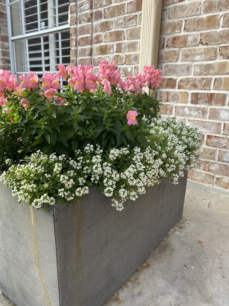 Professional landscape installation in Deer Park, TX by Martin Land Design