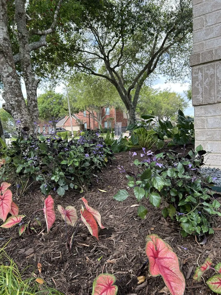 Professional garden landscaping experts serving Deer Park, TX - Martin Land Design