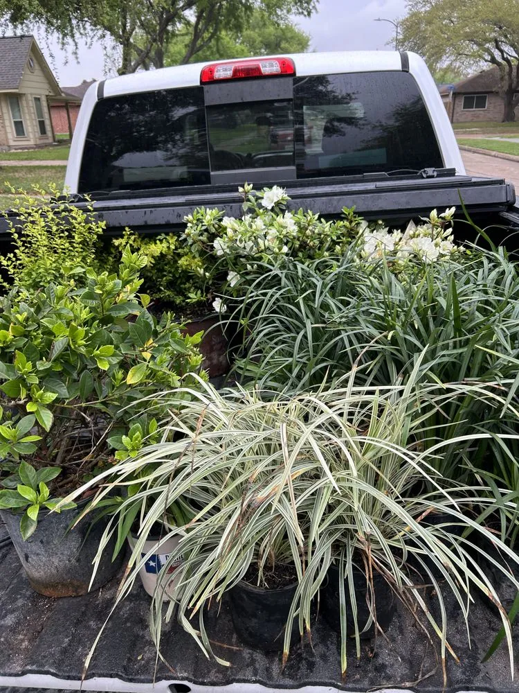 Expert landscape design for residential properties across Deer Park, TX - Martin Land Design