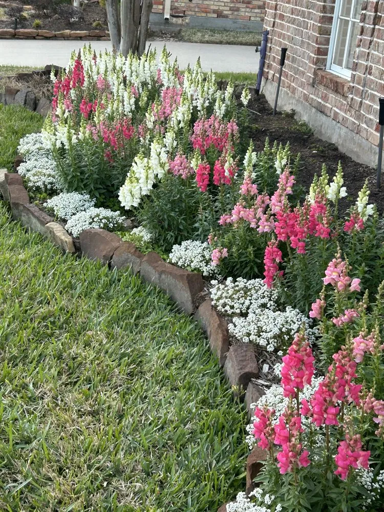 Trusted outdoor landscaping for beautiful yards in Deer Park, TX by Martin Land Design
