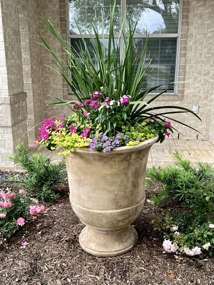 Trusted yard cleanup service experts serving Deer Park, TX - Martin Land Design