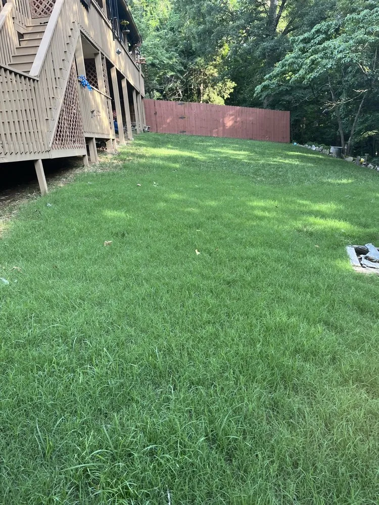 Expert landscape installation in Rogers, AR - Martin Landscape