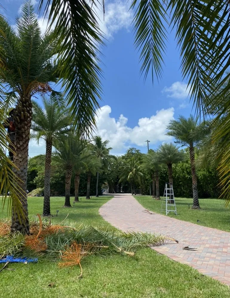 Top-rated garden landscaping in Homestead, FL - Martin Landscaping & Design