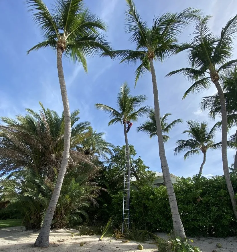 Expert residential landscaping with custom design across Homestead, FL - Martin Landscaping & Design