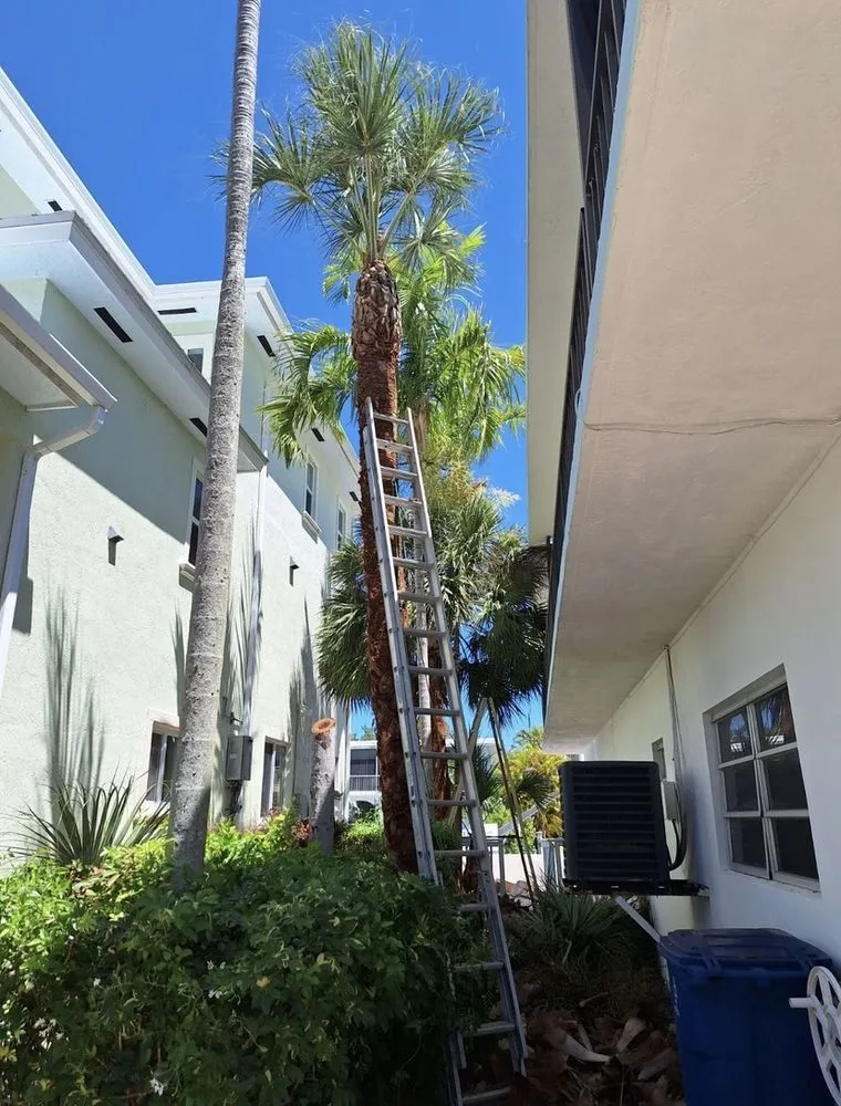 Custom residential landscaping near you in Homestead, FL by Martin Landscaping & Design