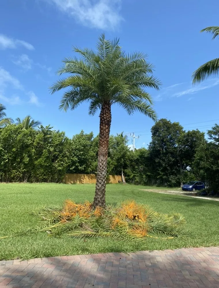 Top-rated outdoor landscaping in Homestead, FL by Martin Landscaping & Design