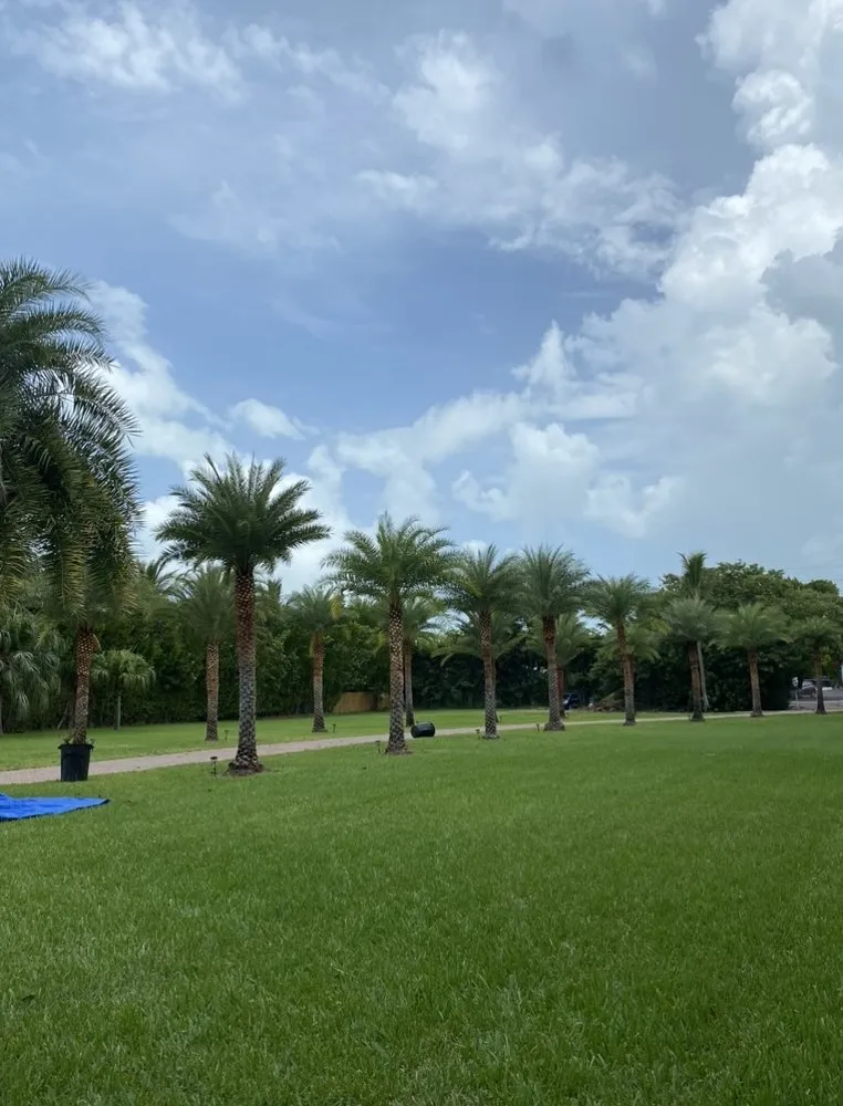 Top-rated yard cleanup service experts serving Homestead, FL - Martin Landscaping & Design