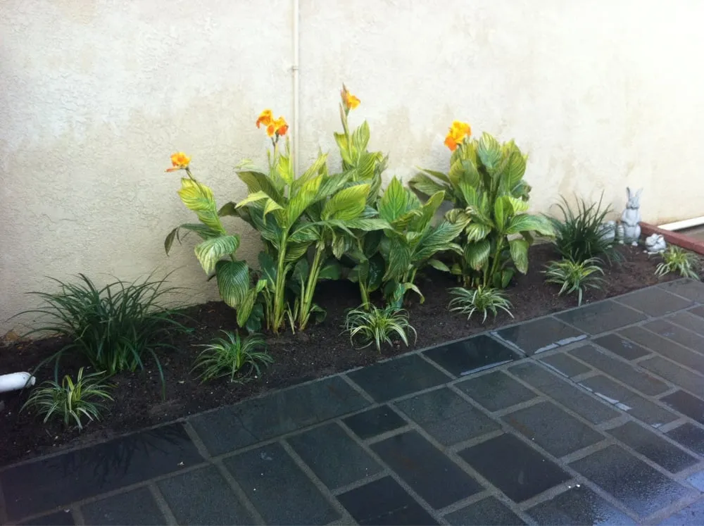 Top-rated landscaping services in El Segundo, CA - Martin Landscaping