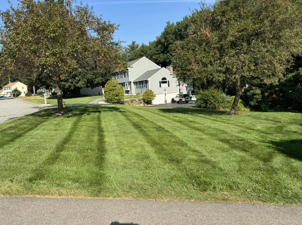 Affordable landscape installation experts serving Manchester, NH - Martin Landscaping