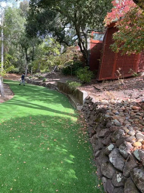 Top-rated lawn care service in Richmond, CA - Martin Landscaping