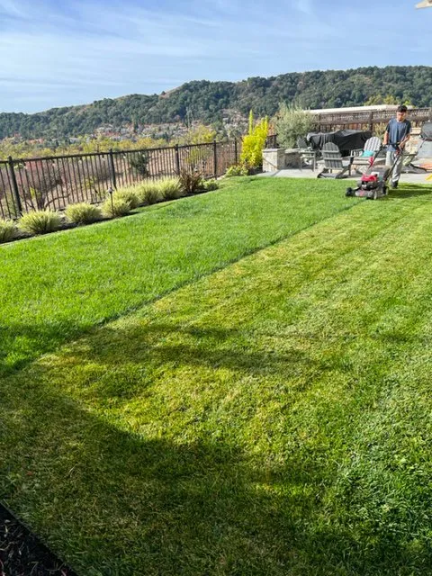 Top-rated yard cleanup service experts serving Richmond, CA - Martin Landscaping