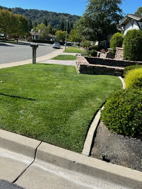 Top-rated lawn care service for beautiful yards in Richmond, CA by Martin Landscaping