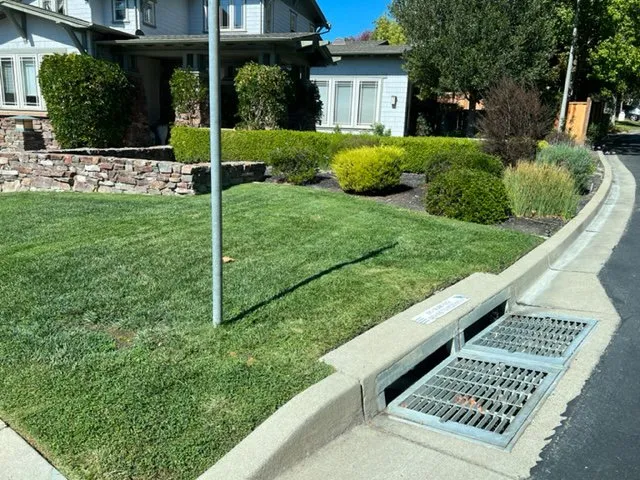 Reliable garden landscaping for beautiful yards across Richmond, CA - Martin Landscaping