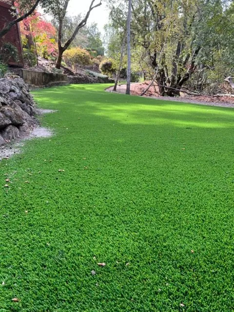 Top-rated landscaping services for outdoor upgrades in Richmond, CA by Martin Landscaping