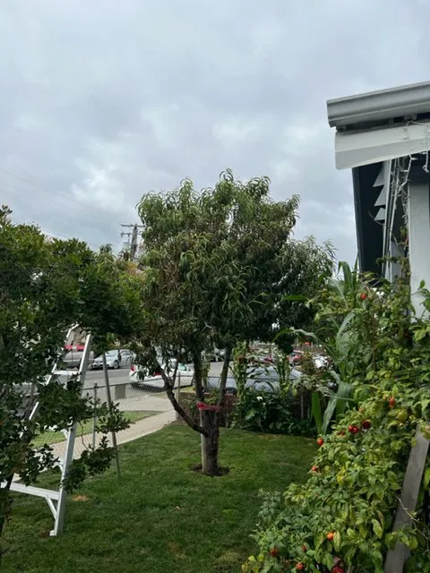 Top-rated landscape installation in Richmond, CA - Martin Landscaping