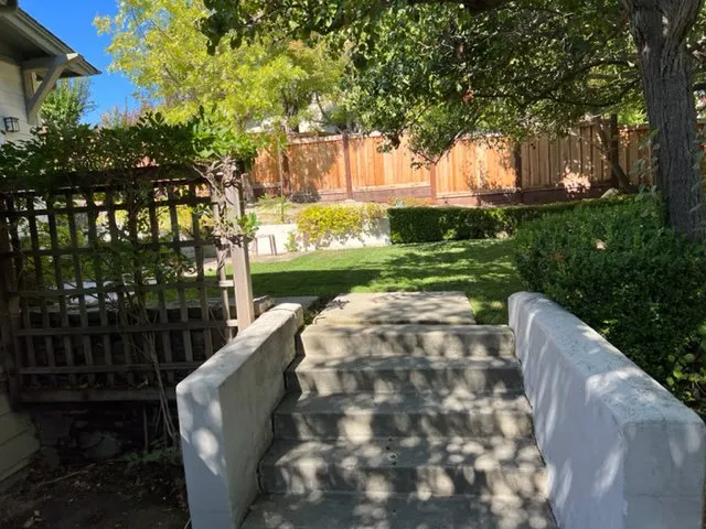 Expert yard cleanup service experts serving Richmond, CA - Martin Landscaping